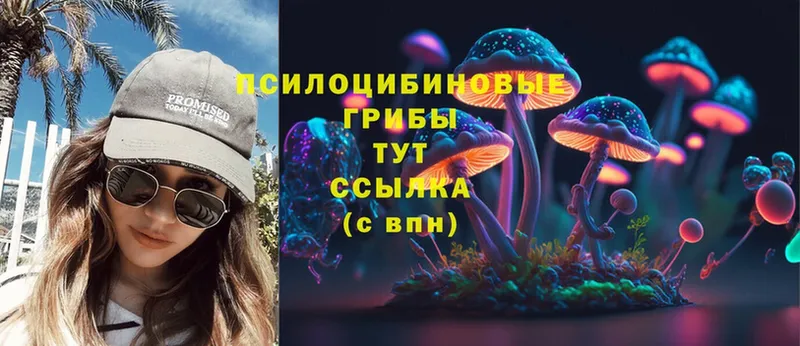 Псилоцибиновые грибы Magic Shrooms  OMG онион  Венёв 