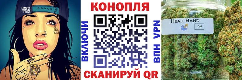 блэк спрут зеркало Венёв Шишки марихуана конопля нарко площадка как зайти как найти наркотики